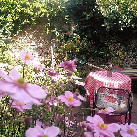 Cosy 1 Bedroom With Garden 2 Min From Seafront Brighton Екстер'єр фото