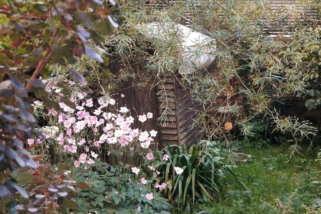 Cosy 1 Bedroom With Garden 2 Min From Seafront Brighton Екстер'єр фото